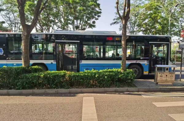 易富配资 专89路龙乡小区站：绿植挡车门，乘客难下车