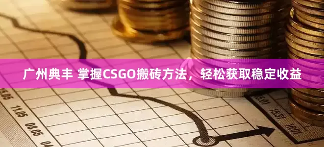 广州典丰 掌握CSGO搬砖方法，轻松获取稳定收益