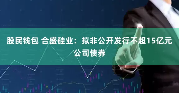 股民钱包 合盛硅业：拟非公开发行不超15亿元公司债券